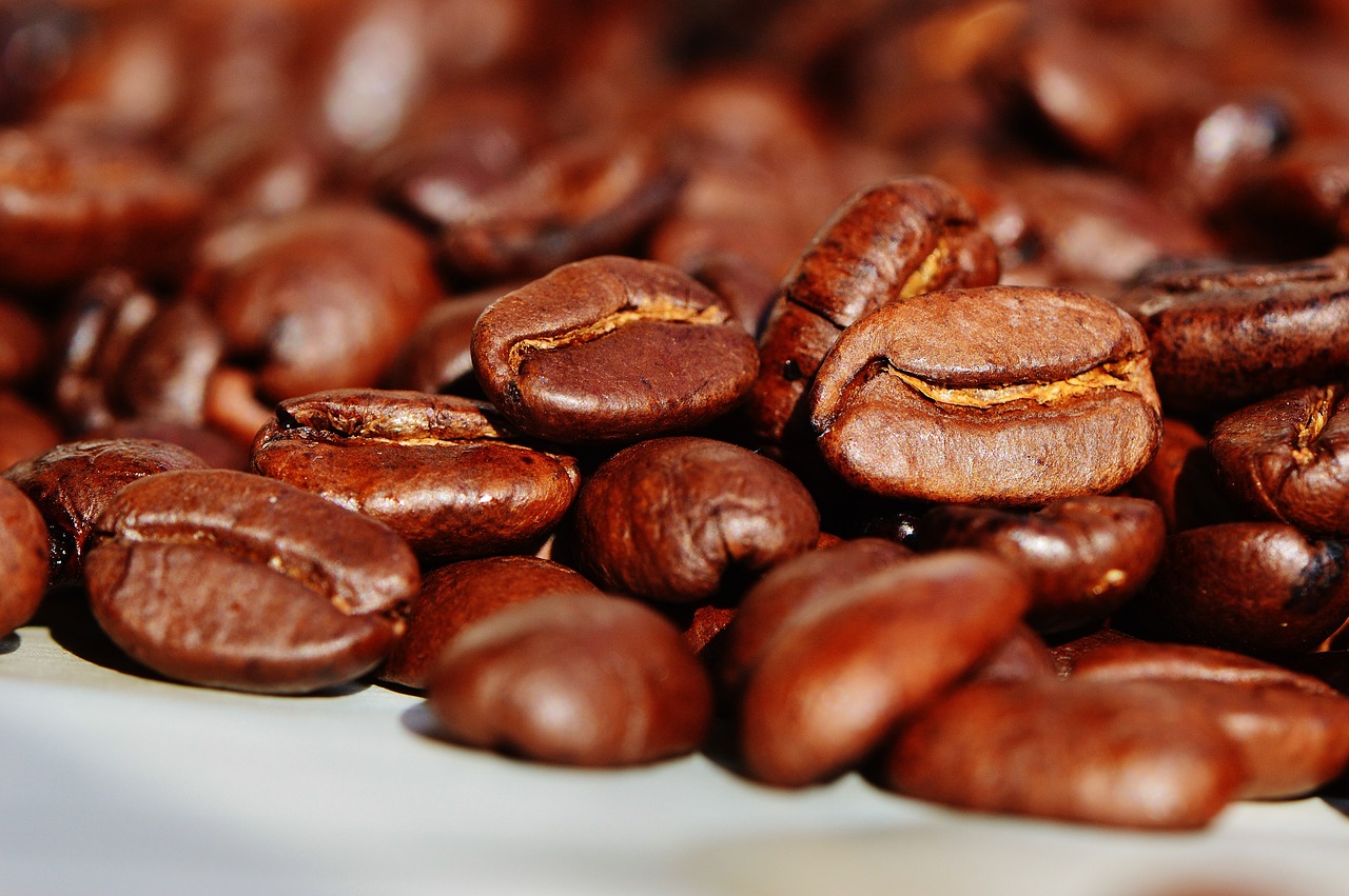 Palarnie kawy i wszystkie inne etapy obróbki ziaren kawowca